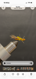 Classic Hopper