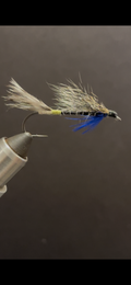 The Blue Charm