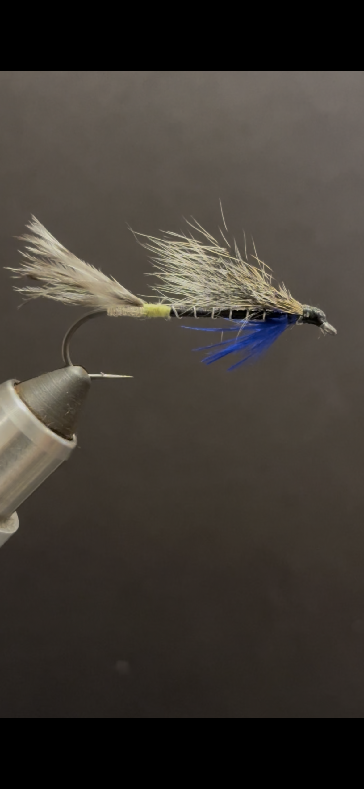 The Blue Charm