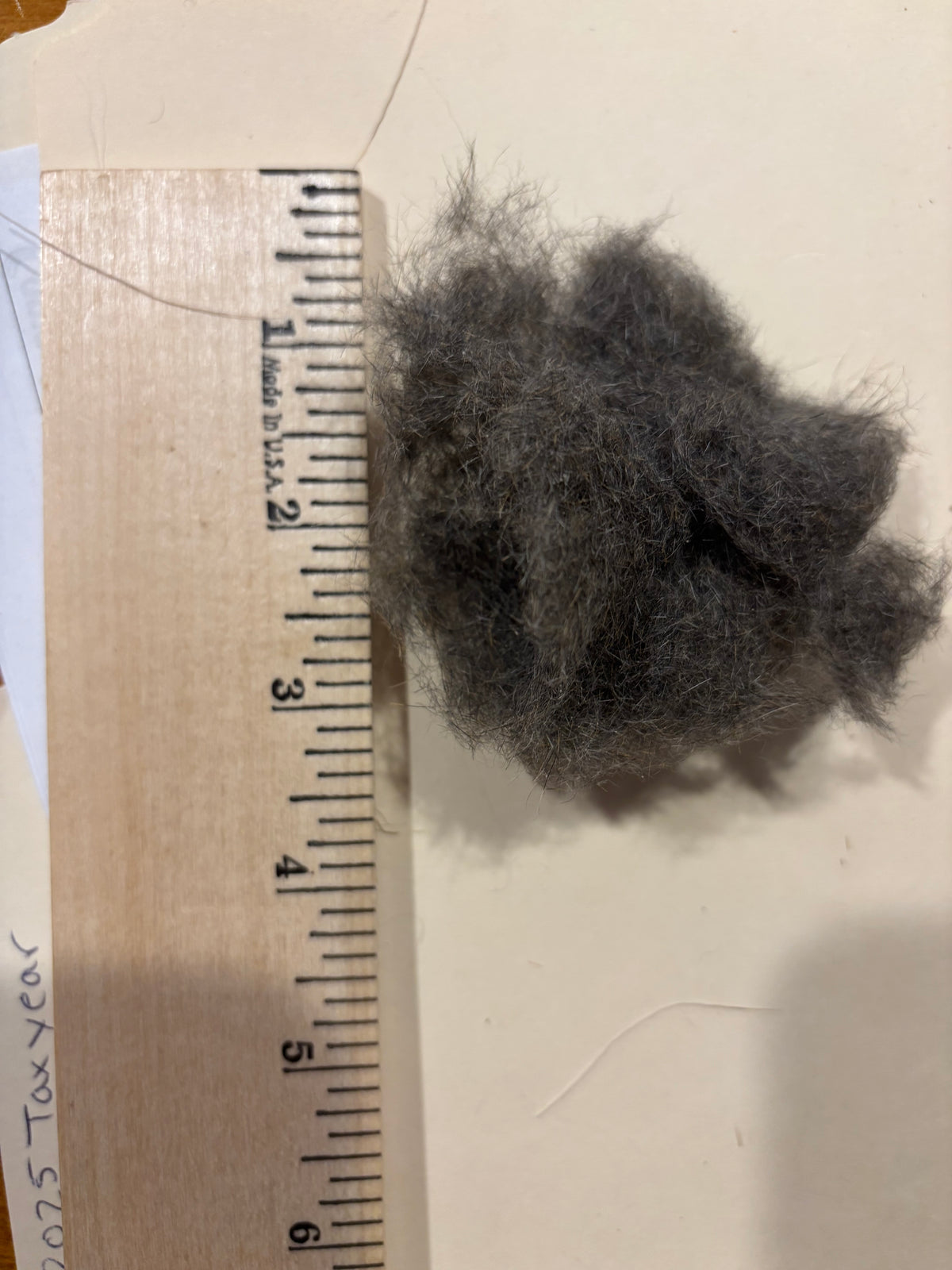 Fox Squirrel Dubbing