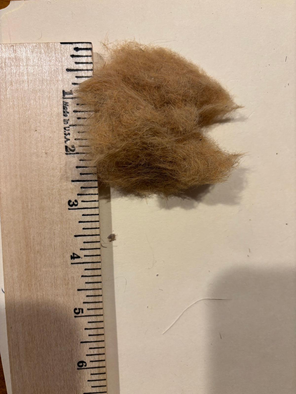 Fox Squirrel Belly Dubbing