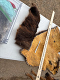 Beaver Fur